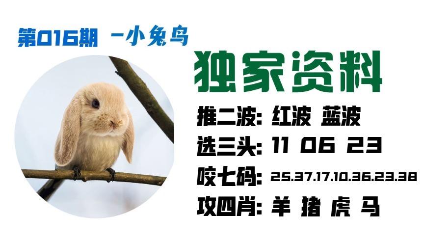 016期小兔鸟[图]